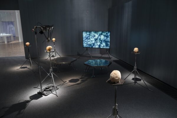 Pisarad kaotatud kujutlusv&otilde;ime ajastul